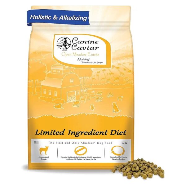 Limited Ingredient Lamb and Pearl Millet Dog Food with Healthy Skin and Coat Benefits