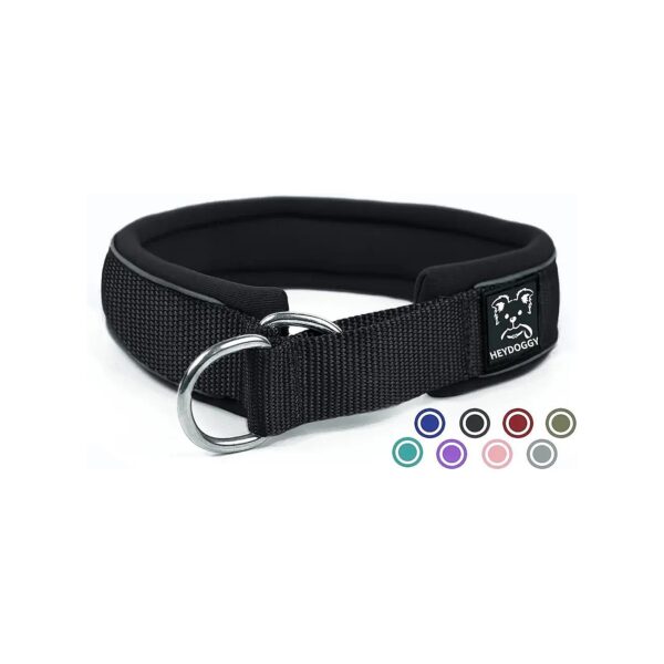 Limited Slip Martingale Collar for Large Dogs with Extra Thick Nylon and Neoprene Padding