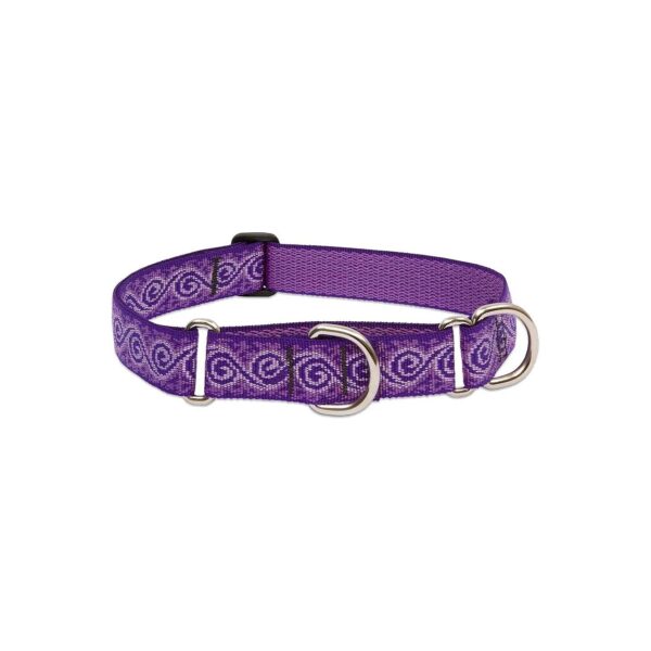 Limited-Slip Martingale Collar for Dogs 15-22 Inches Long