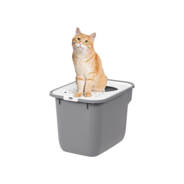 Litter Particle Catching Cover and Low Odor Cat Litter Box