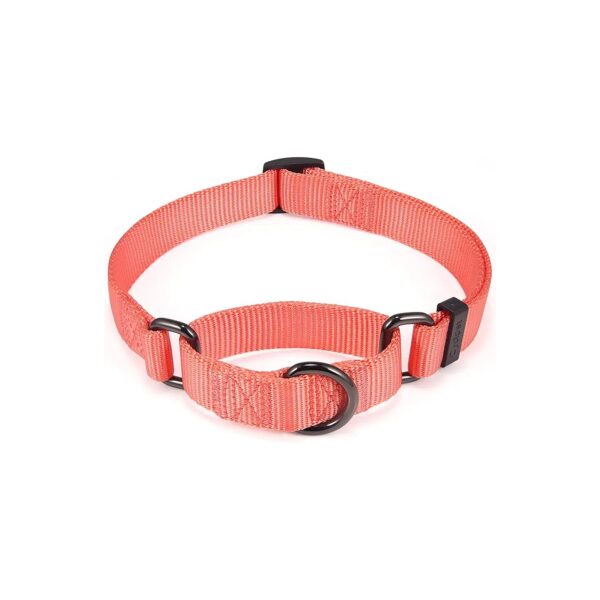 Living Coral Nylon Martingale Dog Collar with Heavy Duty Hardware for Small Dogs