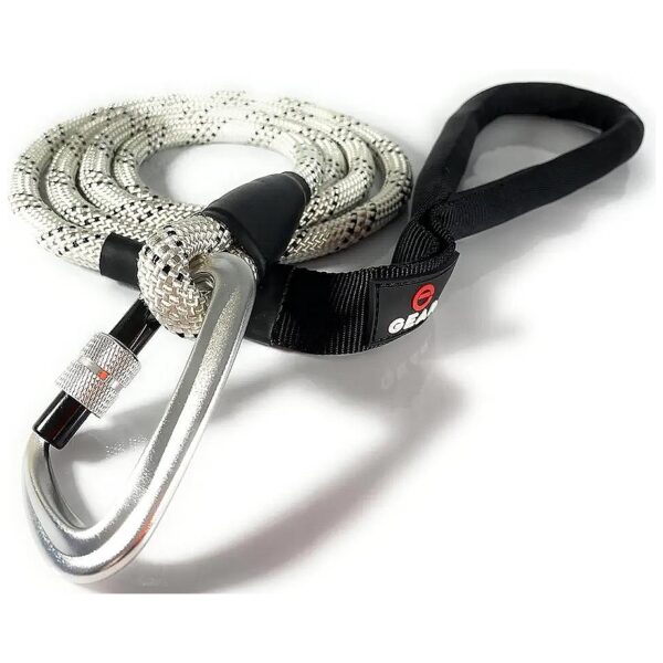 Locking Carabiner Dog Leash with Reflective Braiding and Padded Handle