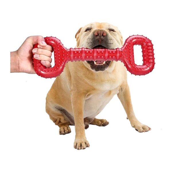 Long Lasting Natural Rubber Dog Chew Toy for Medium Large Breeds