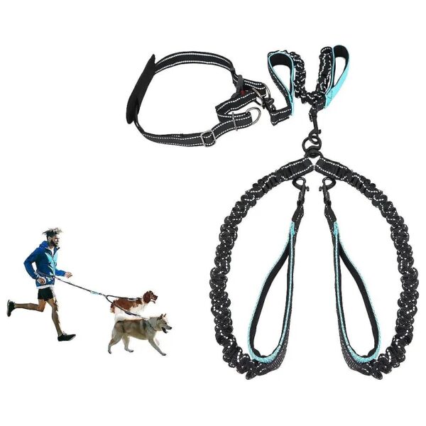 Long Padded No Tangle Dual Dog Leash for Large Dogs - Great for Walking Running Hiking