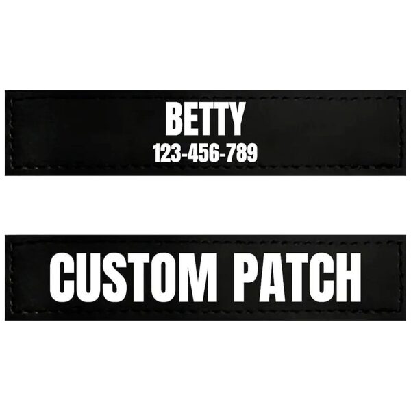 Low-Maintenance Customizable Patches for Dog Collar or Harness