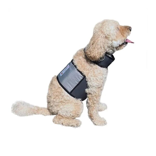 Machine Washable Cooling Vest and Collar for Dogs with 18-22" Girth