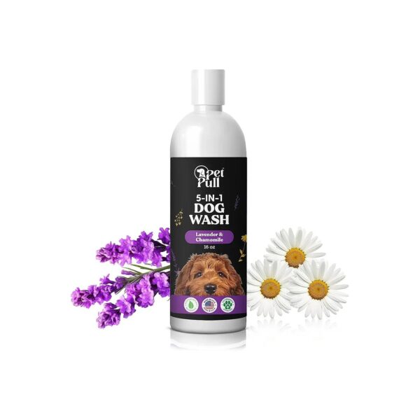 Made in USA Plant-Based Dog Shampoo for Effective Skin Care and Deodorizing