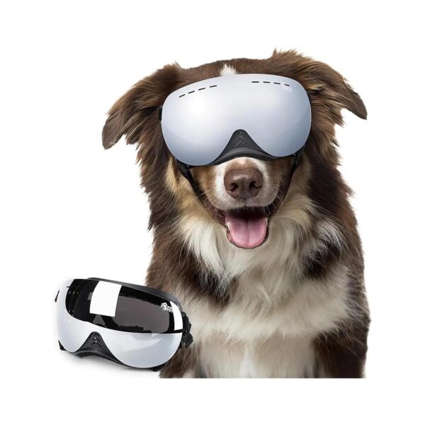 Magnetic Dog Goggles for Large Dogs UV Wind Protection Snow Protection Replaceable Lenses