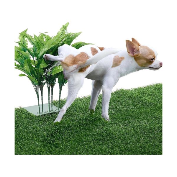 Male Dog Potty Training Made Easy with Adjustable Artificial Boston Fern Plants Pee Post