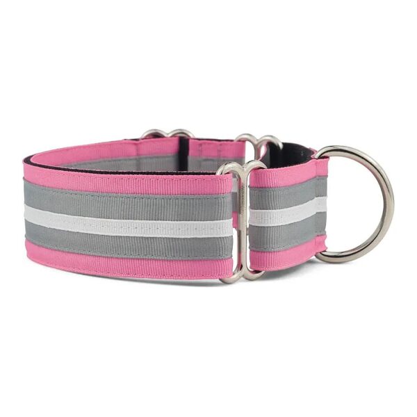 Martingale Collar for Dogs with Anti-Pull System and Adjustable Fit