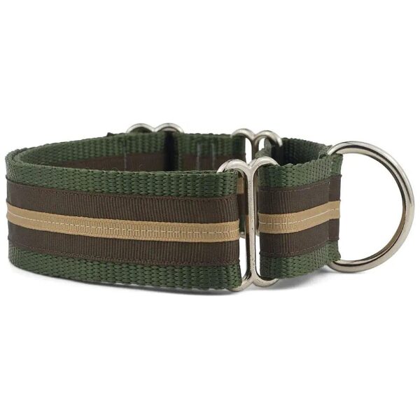 Martingale Collar for Dogs with Stripe Design and Adjustable Fit