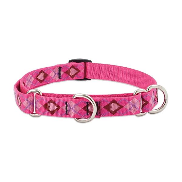 Martingale Collar for Medium and Larger Dogs with Slip-On Closure