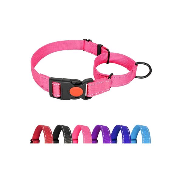 Martingale Collar for Small Breed Dogs with Reflective Design and Quick Release Buckle