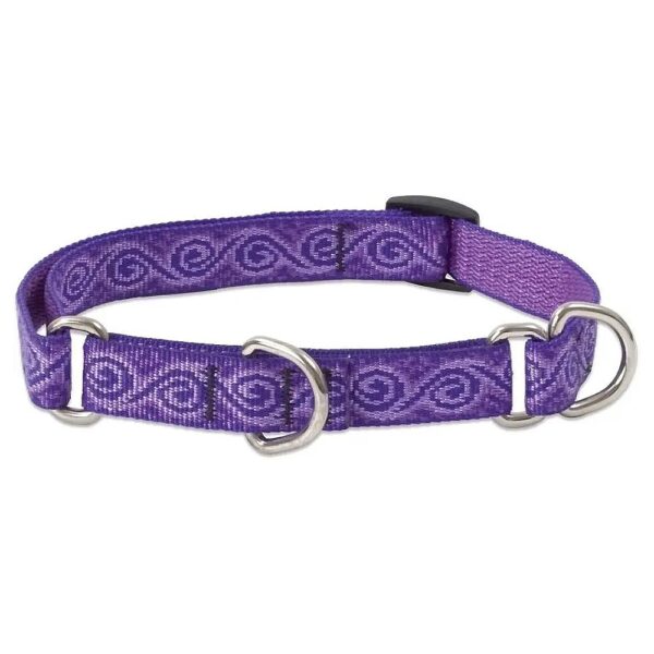 Martingale Collar with Jelly Roll Pattern and Adjustable Size Range for Small Dogs