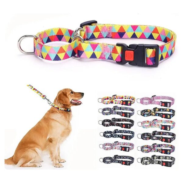 Martingale Collar with Quick Release Snap Clip and Lock for Small Medium Large Breed Dogs