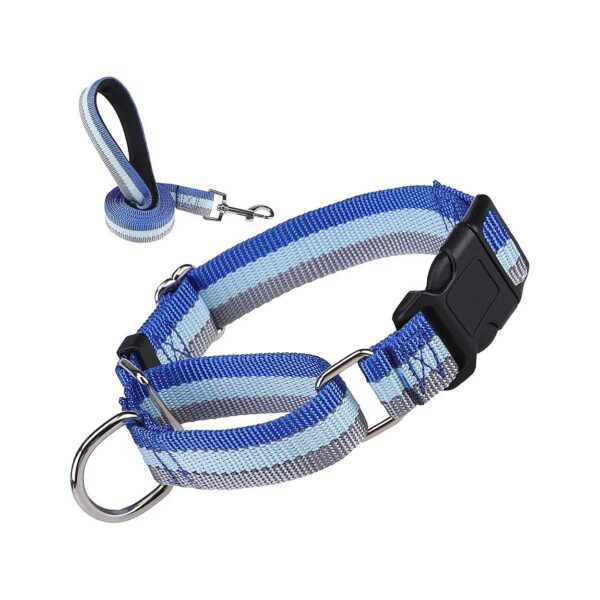 Martingale Dog Collar and Leash Set for Small Medium Large Dogs with Easy Adjustment