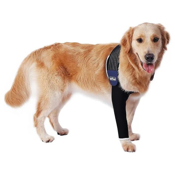 Medical Grade Dog Leg Sleeve for Hot Spots and Wounds Protection