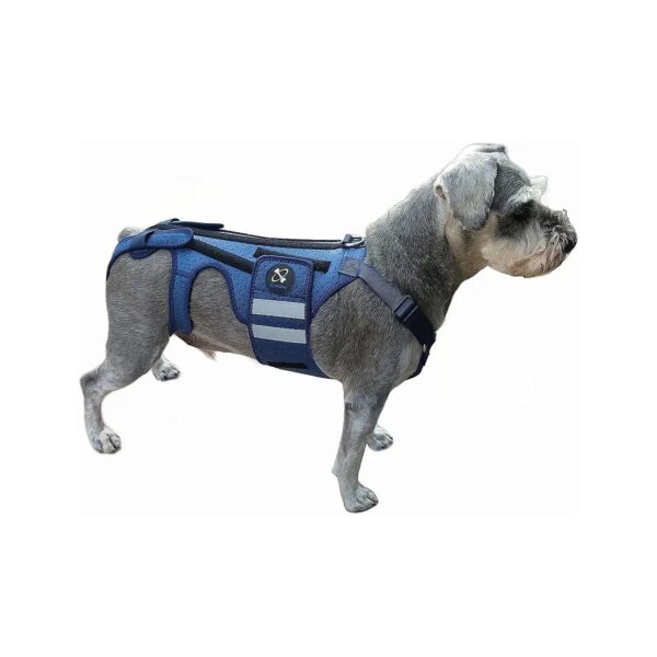 Medical-Grade Back Support for Dogs with IVDD, Arthritis, and Back Rehabilitation