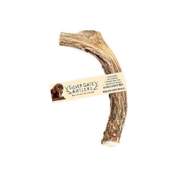 Medium 5-6 Inch Deer Antler Dog Chew for Fearless Chewers