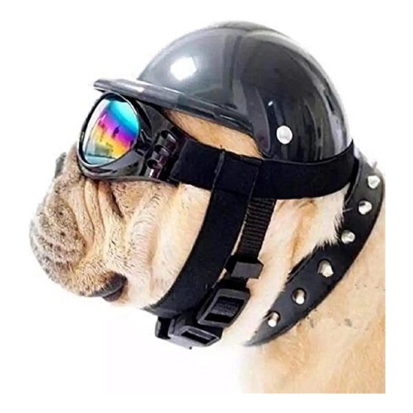 Medium Black Dog Hat with Goggles for Riding Outdoor Fun