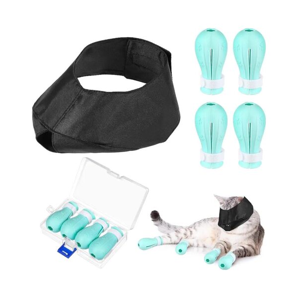 Medium Breed Cat Grooming Essentials with Soft Adjustable Muzzle and Anti Scratch Boots