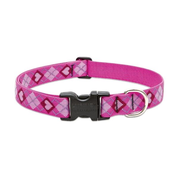 Medium Dog Collar 1 Inch Wide Puppy Love Design Adjustable