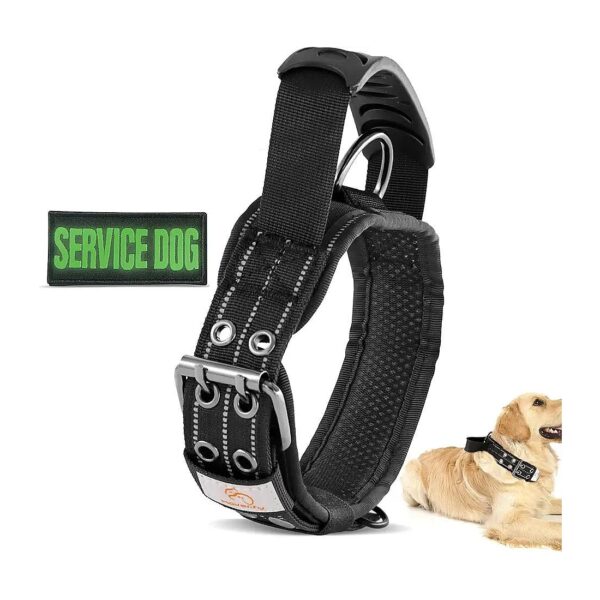 Medium Dog Collar with Adjustable Reflective Patches for Hiking and Training