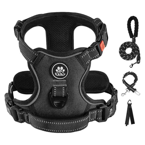 Medium Dog Harness with Leash and Safety Belt for Safe Walks and Commutes