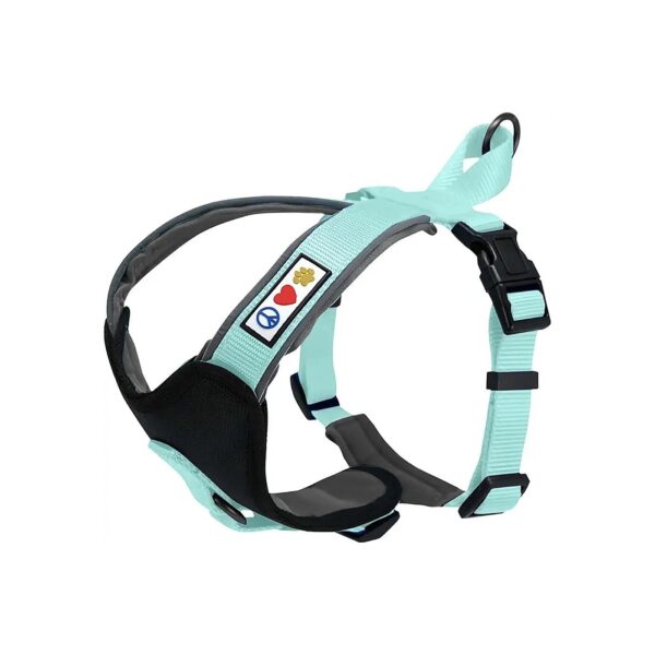 Medium Dog Harness with Teal Reflective Strips for a Safer and More Comfortable Walk