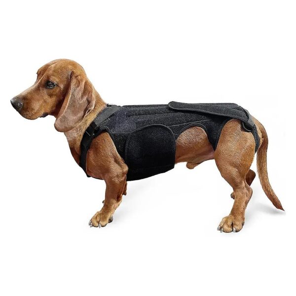 Medium IVDD Back Brace for Dogs Relieves Pain and Supports the Spine