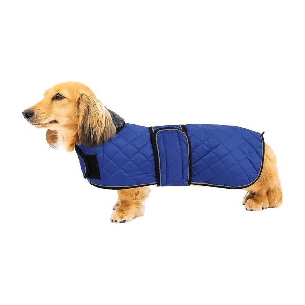 Medium Large Dachshund Coat with Reflective Piping, Adjustable Straps, and Fleece Lining