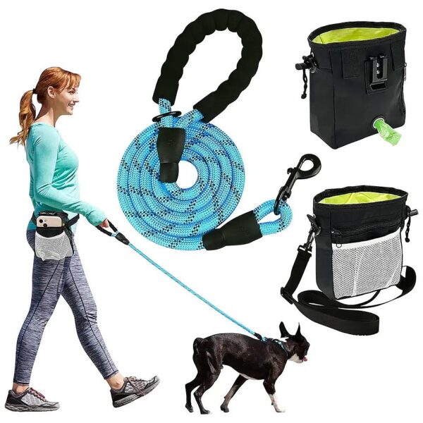 Medium Large Small Dogs 6FT Dog Leash with Treat Pouch Reflective Nylon