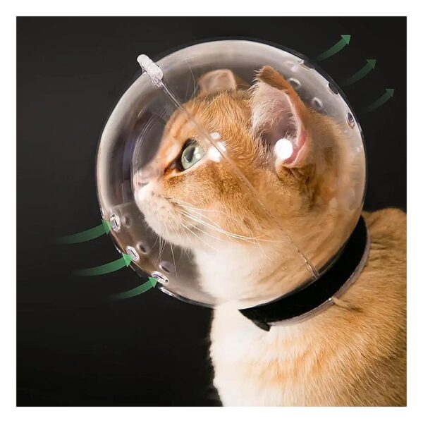 Medium Size Cat Helmet for Small Breeds Cats and Small Dogs