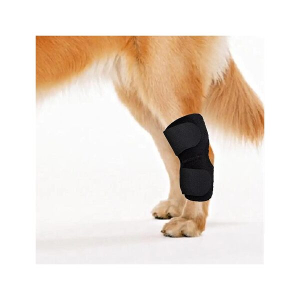 Medium Size Dog Canine Rear Leg Compression Sleeve for Injuries and Arthritis Support