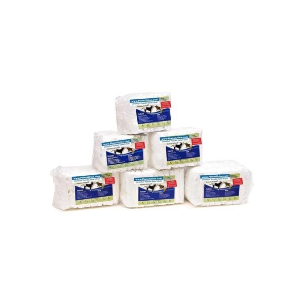 Medium Size Pet Diapers for Dogs and Cats with Incontinence Issues 10 Count