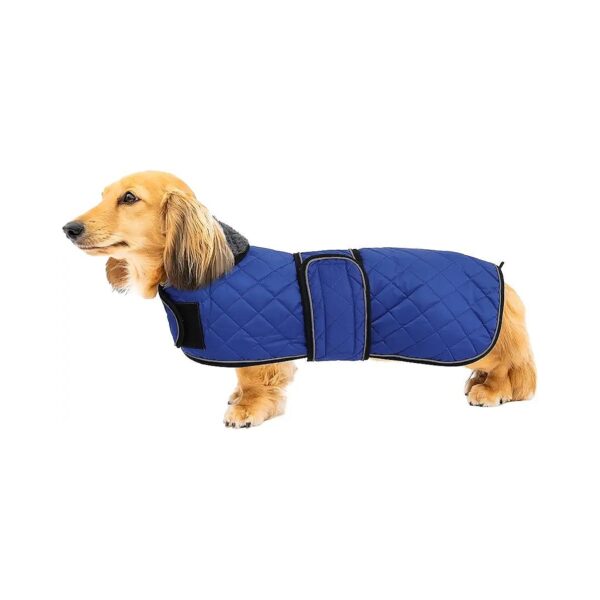 Medium Size Thermal Quilted Dachshund Coat with Fleece Lining and Adjustable Bands