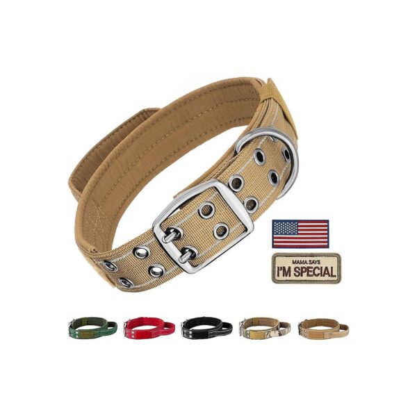 Medium and Large Dog Collar with Soft Padded Handle and Heavy-Duty Buckle for Secure Wear