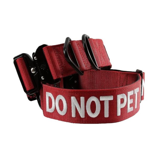 Medium to Large Dog Collar, Neoprene-Lined, High-Visible Warning Reduces Accidents