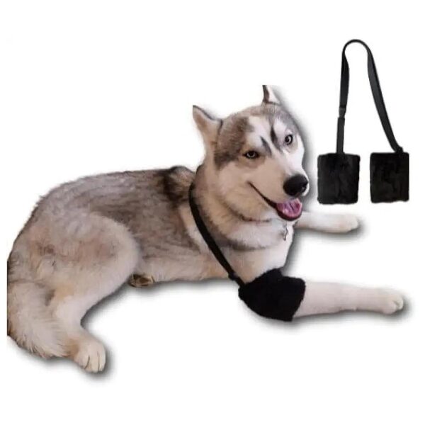 Medium to Large Dog Elbow Straps with Soft Cushioning and Hygroma Relief