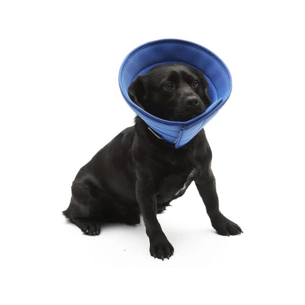 Medium to Large Size Dog Cone for Wound Health and Protection