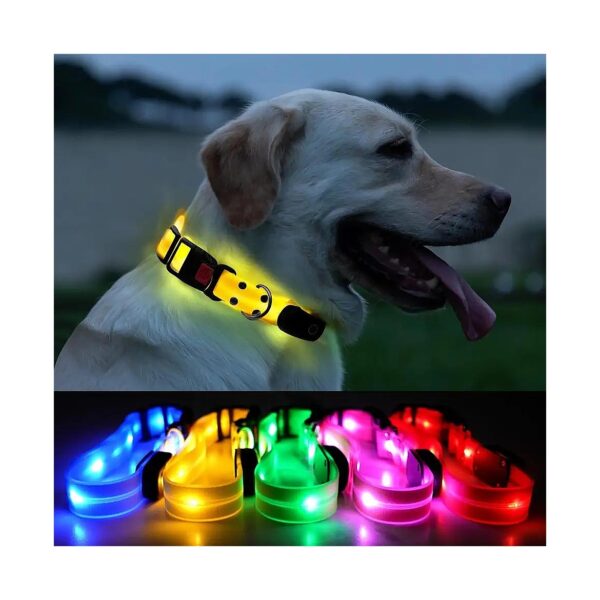 Medium to Large Size Dogs Adjustable LED Light Up Collar for Night Walking