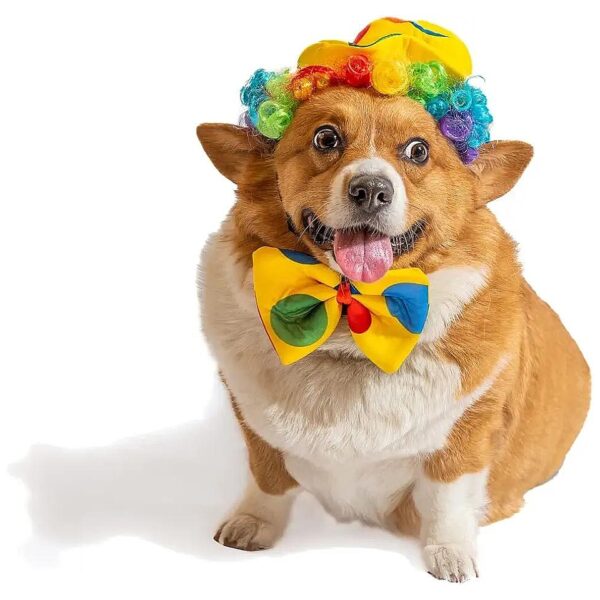 Medium-Sized Dog Clown Costume with Rainbow Wig, Polka Dot Hat, and Adjustable Bowtie