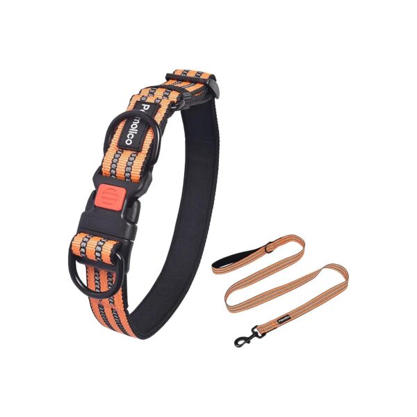 Medium-Sized Dog Collar with Double D-Rings and Matching Leash