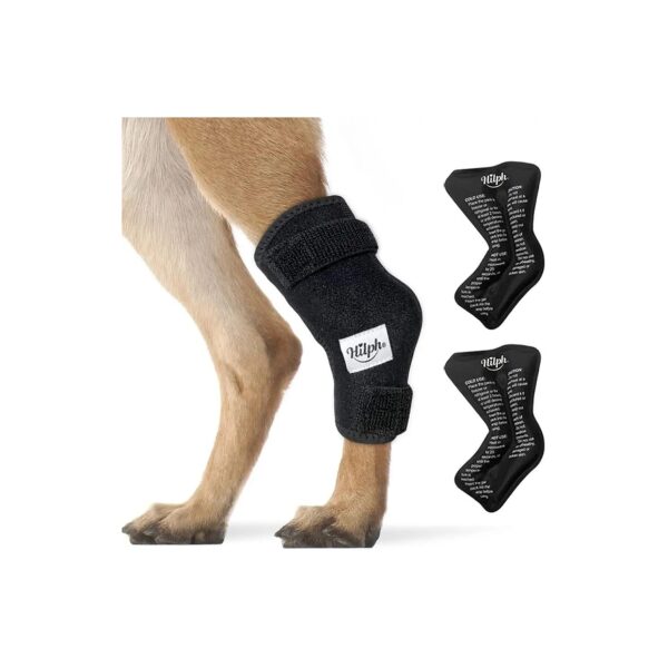 Medium-Sized Dog Rear Leg Hock Wrap with Gel Ice Packs for Joint Pain and Support