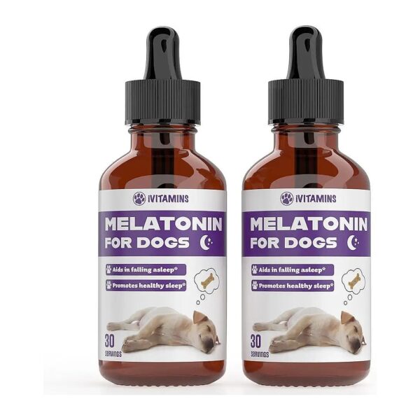 Melatonin for Dogs - Natural Sleep Aid for Overall Health