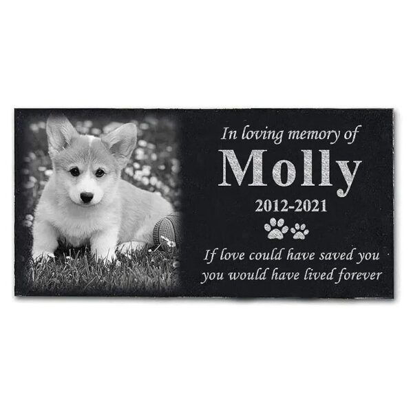 Memorial Stone with Photo and Engraved Message for Dog, Cat, or Loved One Loss