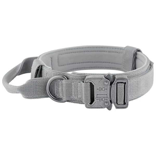 Military Style Nylon Dog Collar with Adjustable Size and Heavy Duty Metal Buckle