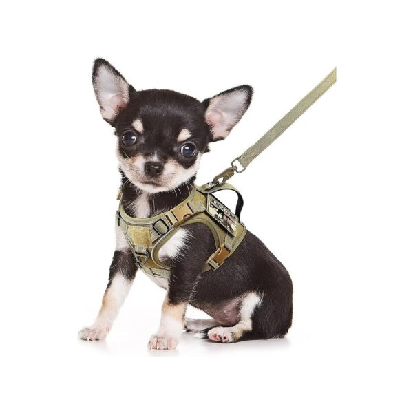 Military-Grade Dog Harness XS Size with No Pull Training Leash and Adjustable Nylon