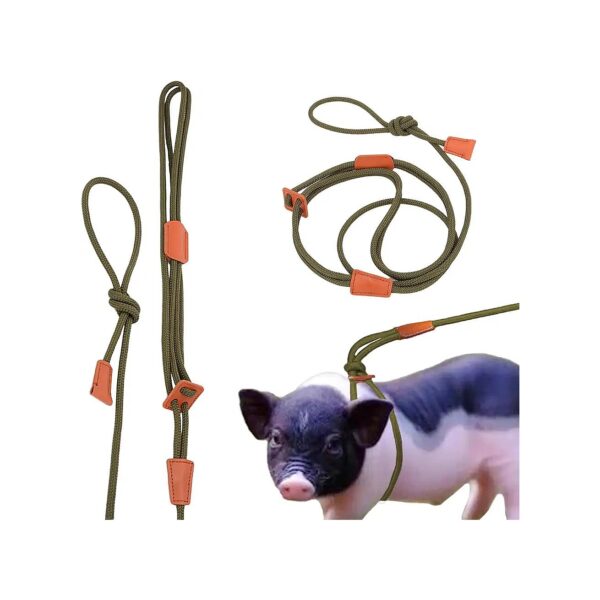 Miniature Pig Harness and Leash for Small to Large Pet Pigs