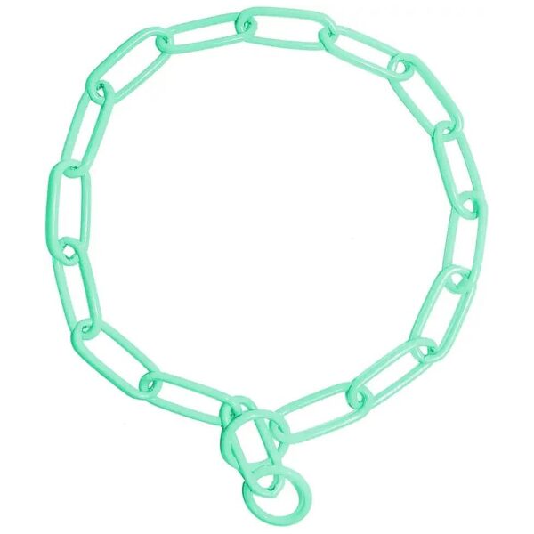 Mint Green Stainless Steel Dog Collar with Fur Saver Chain 21-Inch Long